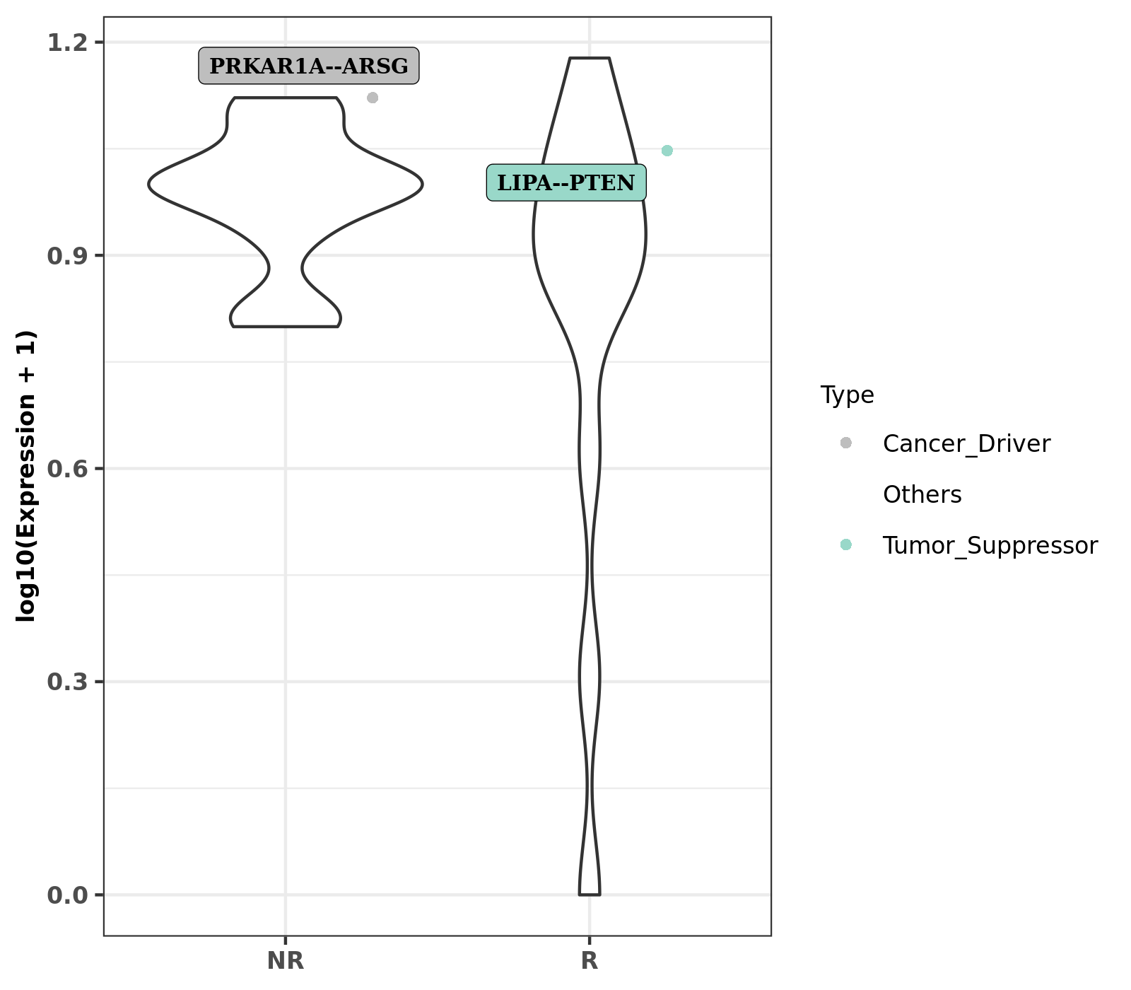 Fuison violine plot